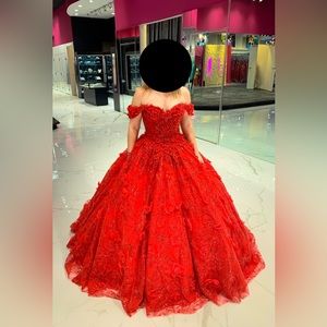 Quinceanera Dress Ball Gown